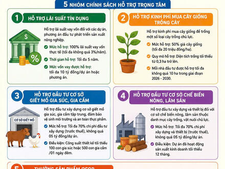 Kinh tế - Chính trị
